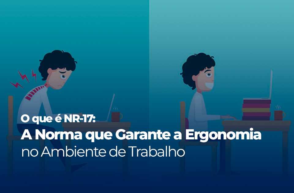 O que é nr 17